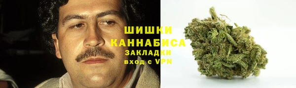 PSILOCYBIN Аркадак