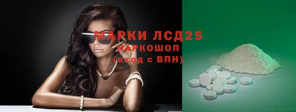 PSILOCYBIN Аркадак