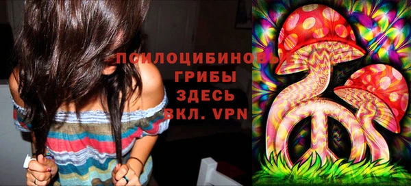PSILOCYBIN Аркадак