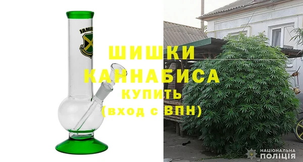 PSILOCYBIN Аркадак