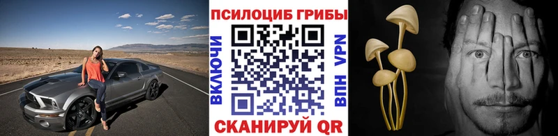 даркнет сайт  Карабулак  Псилоцибиновые грибы MAGIC MUSHROOMS 